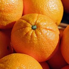 Seguro Citrus